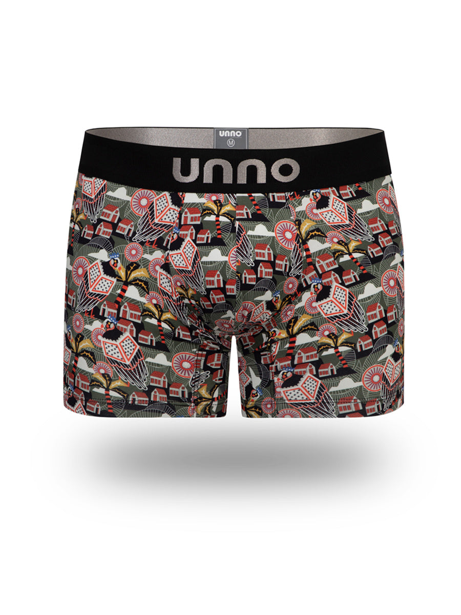 Boxer Andina