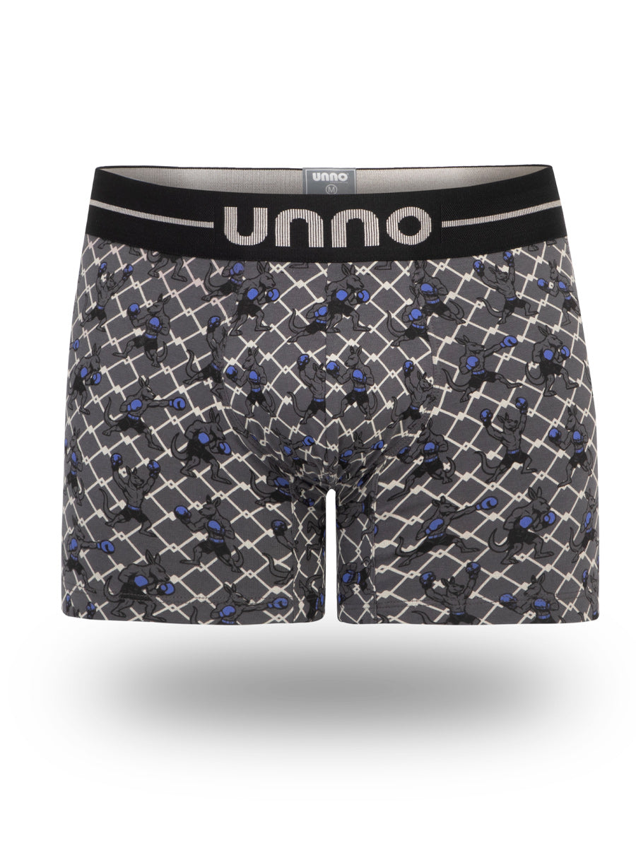 Boxer Counter